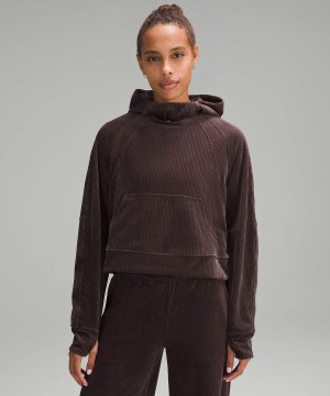 Lululemon Scuba Oversized Velvet Cord Hoodie Dam Choklad Sverige | VPUAWS705